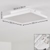 Bankura Plafoniera LED Bianco, 1-Luce