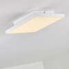 Bankura Plafoniera LED Bianco, 1-Luce