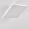 Bankura Plafoniera LED Bianco, 1-Luce