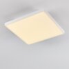 Bankura Plafoniera LED Bianco, 1-Luce