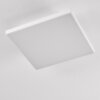 Bankura Plafoniera LED Bianco, 1-Luce