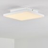 Bankura Plafoniera LED Bianco, 1-Luce