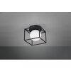 Applique Reality GABBIA Nero, 1-Luce