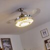 Bendigo ventilatore da soffitto LED Nichel opaco, Trasparente, chiaro, 1-Luce