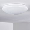 Brighton Star Plafoniera LED Bianco, 1-Luce, Telecomando, Cambia colore