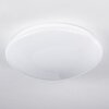 Brighton Star Plafoniera LED Bianco, 1-Luce, Telecomando, Cambia colore