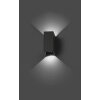 Faro Blind Applique per esterno LED Antracite, 2-Luci