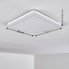 Siguna Plafoniera LED Bianco, 1-Luce