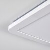 Siguna Plafoniera LED Bianco, 1-Luce