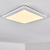 Siguna Plafoniera LED Bianco, 1-Luce