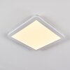 Siguna Plafoniera LED Bianco, 1-Luce