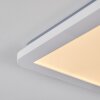 Siguna Plafoniera LED Bianco, 1-Luce