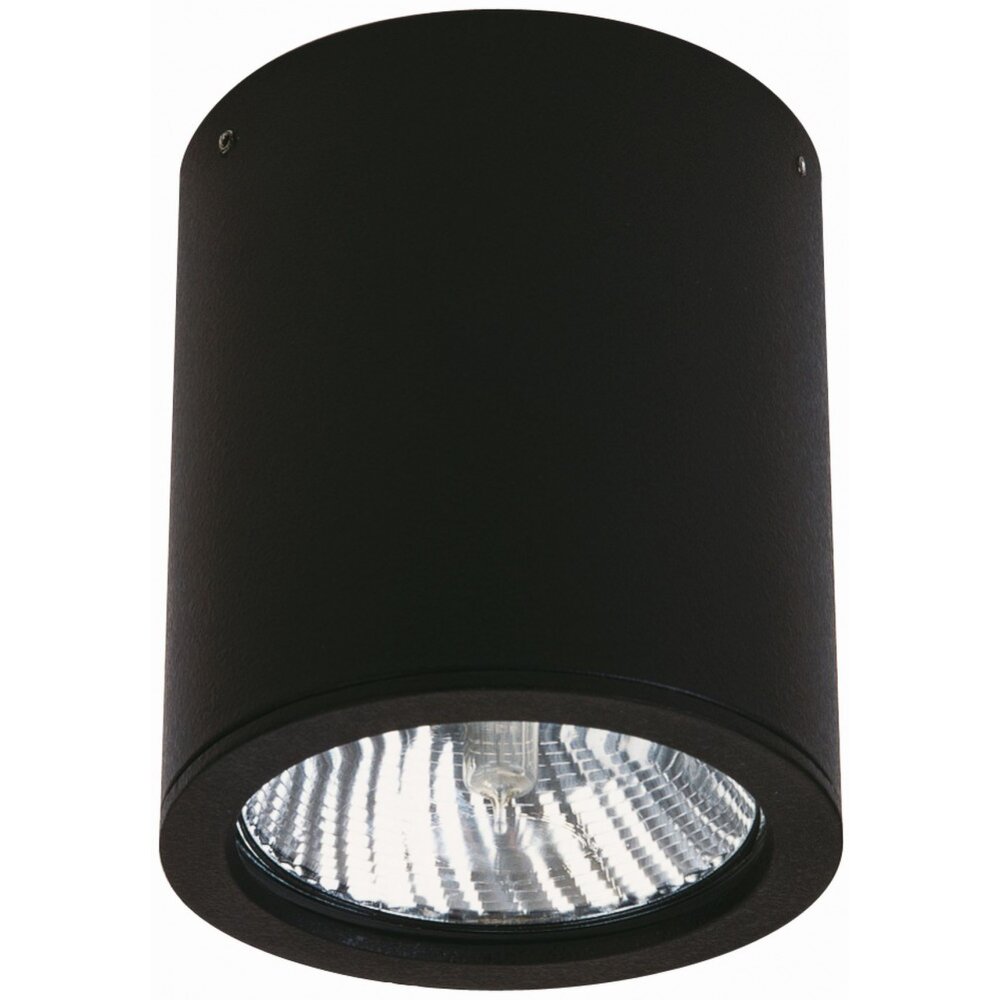 Albert 2130 Plafoniera Nero, 1-Luce main product photo