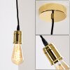 Lemone Lampadario a sospensione Nero-Oro, 1-Luce