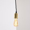 Lemone Lampadario a sospensione Nero-Oro, 1-Luce