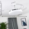 Bendigo ventilatore da soffitto LED Cromo, Trasparente, chiaro, Bianco, 1-Luce