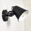 Pany Applique Nero, 1-Luce