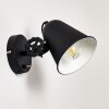 Pany Applique Nero, 1-Luce