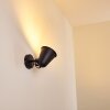 Pany Applique Nero, 1-Luce