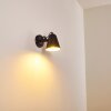 Pany Applique Nero, 1-Luce