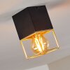 Agawam Plafoniera Nero, 1-Luce