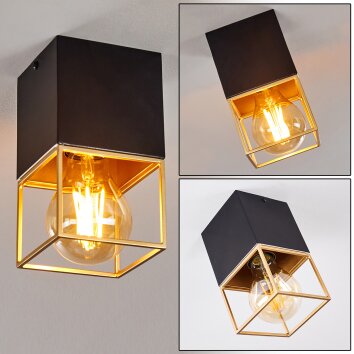 Agawam Plafoniera Nero, 1-Luce