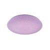 Plafoniera Trio Leuchten WiZ NALIDA LED Bianco, 1-Luce, Telecomando, Cambia colore