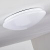 Brighton Plafoniera LED Bianco, 1-Luce, Telecomando, Cambia colore