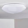 Brighton Plafoniera LED Bianco, 1-Luce, Telecomando, Cambia colore