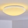 Brighton Plafoniera LED Bianco, 1-Luce, Telecomando, Cambia colore