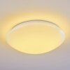 Brighton Plafoniera LED Bianco, 1-Luce, Telecomando, Cambia colore