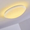 Brighton Plafoniera LED Bianco, 1-Luce, Telecomando, Cambia colore