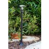 Philips myGarden CREEK Illuminazione viale Nero, Trasparente, chiaro, 1-Luce