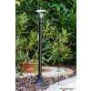 Philips myGarden CREEK Illuminazione viale Nero, Trasparente, chiaro, 1-Luce