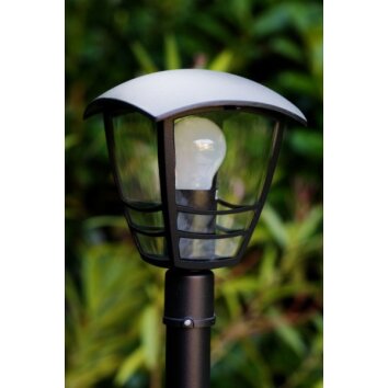 Philips myGarden CREEK Illuminazione viale Nero, Trasparente, chiaro, 1-Luce