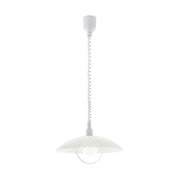 Eglo ALVEZ Lampadario a sospensione Bianco, 1-Luce