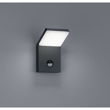 Trio PEARL Applique da esterno LED Antracite, 1-Luce, Sensori di movimento