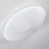 Brighton Star Plafoniera LED Bianco, 1-Luce, Telecomando, Cambia colore