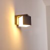 Swanek Applique da esterno LED Antracite, 1-Luce