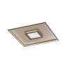 Plafoniera Fischer & Honsel Bug LED Oro, Ruggine, 1-Luce, Telecomando