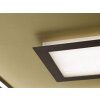 Plafoniera Fischer & Honsel Bug LED Oro, Ruggine, 1-Luce, Telecomando