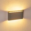 Applique da esterno Tinglev LED Grigio, 2-Luci