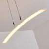 Delaware Lampada a Sospensione LED Argento, 1-Luce