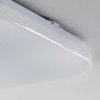NUTAK Plafoniera LED Bianco, 1-Luce, Telecomando, Cambia colore