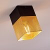 Armenie Lampadario a sospensione Ottone, Nero, 1-Luce