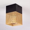 Armenie Lampadario a sospensione Ottone, Nero, 1-Luce