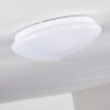 Brighton Plafoniera LED Bianco, 1-Luce, Telecomando, Cambia colore