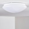 Brighton Plafoniera LED Bianco, 1-Luce, Telecomando, Cambia colore