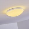Brighton Plafoniera LED Bianco, 1-Luce, Telecomando, Cambia colore