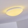 Brighton Plafoniera LED Bianco, 1-Luce, Telecomando, Cambia colore